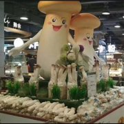 仿真蔬菜泡沫雕塑制作